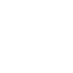 IITMLogoWhite.png