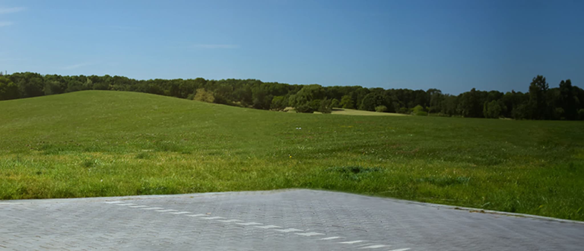 Image of a grassland