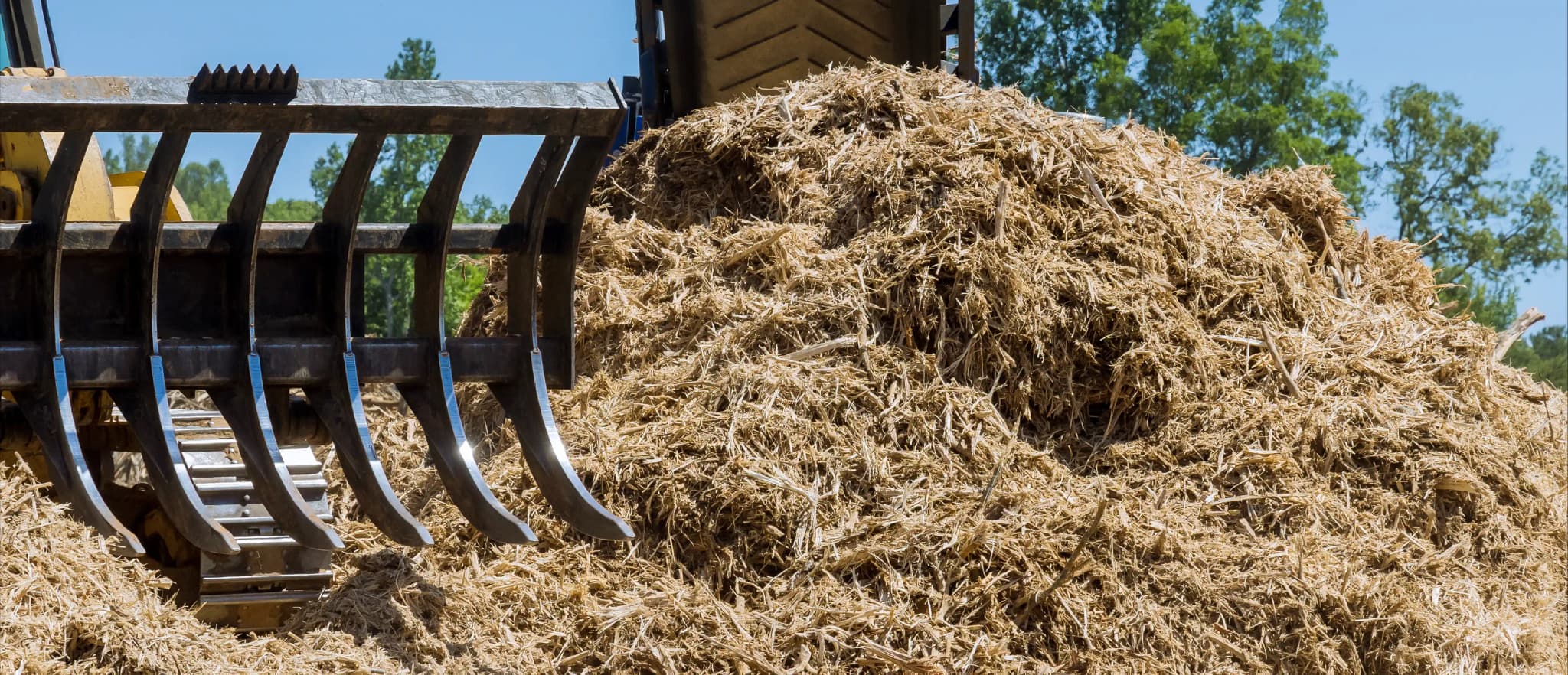 Biomass image.webp