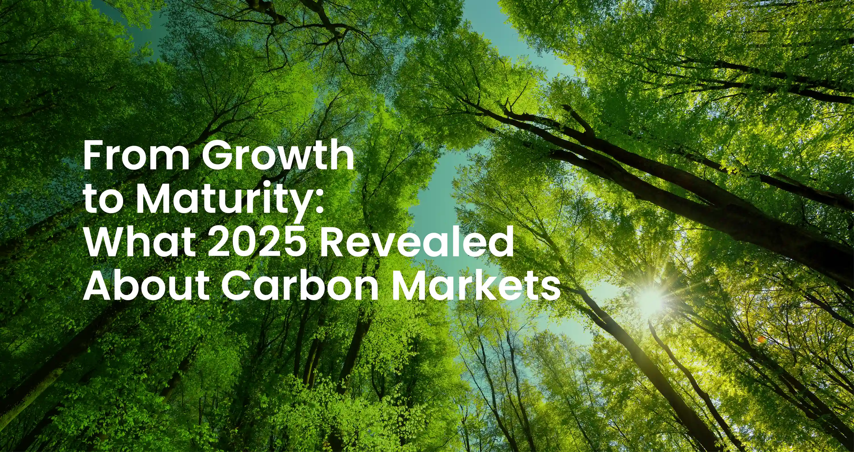 Carbon Markets.webp