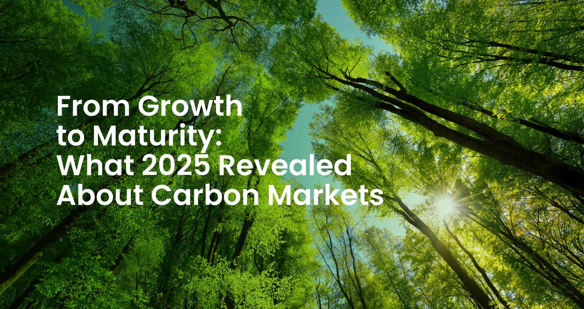 Carbon Markets.webp